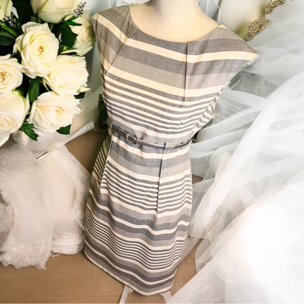 Calvin Klein Gray Striped Pintucked Sheath Dress With Silver Belt Size 6 - Picture 8 of 16